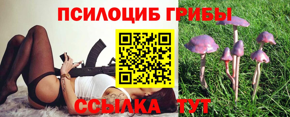 Менделеевск  Галлюциногенные грибы MAGIC MUSHROOMS  Галлюциногенные грибы GOLDEN TEACHER  Вход с VPN 