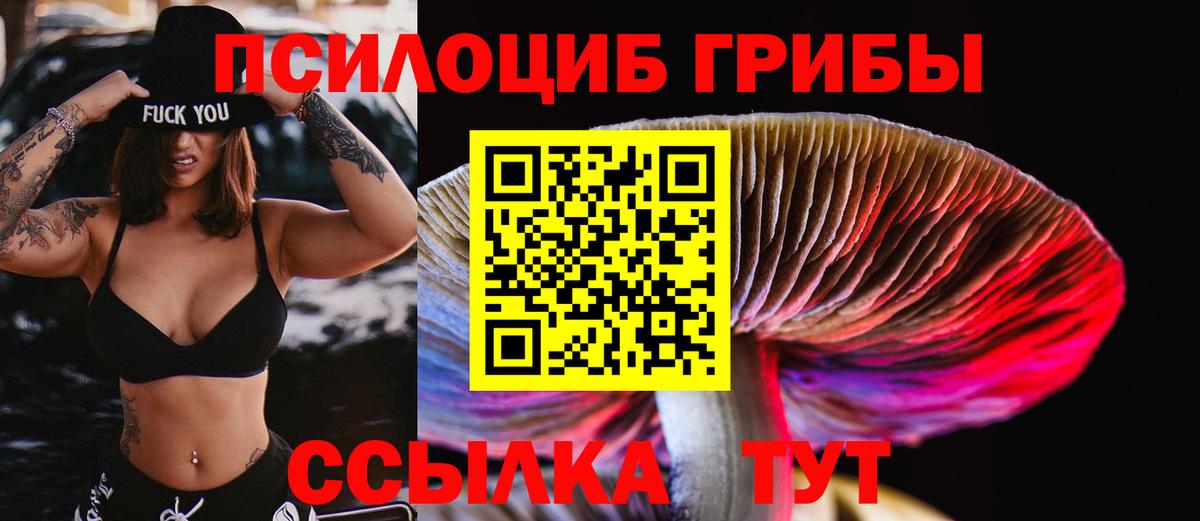 Галлюциногенные грибы Magic Shrooms Менделеевск